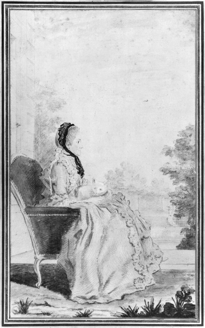 du Deffand夫人的肖像，1760年（铅笔和厕所在纸上） 作者 路易斯·卡罗吉斯·迪·卡蒙泰勒