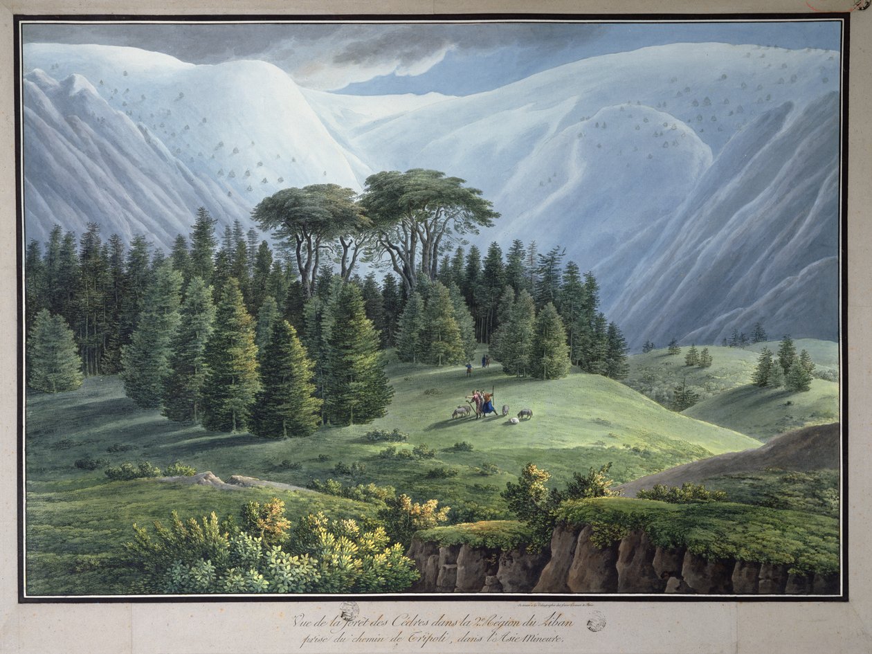 从的黎波里路看到的黎巴嫩雪松森林的视图，c.1800（墨水和纸上的wc） 作者 路易斯·弗朗索瓦·卡萨斯