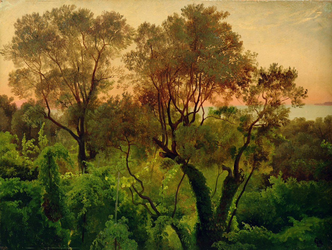 橄榄树坡（面板上的纸上油） 作者 路易斯·古利特（Louis Gurlitt）