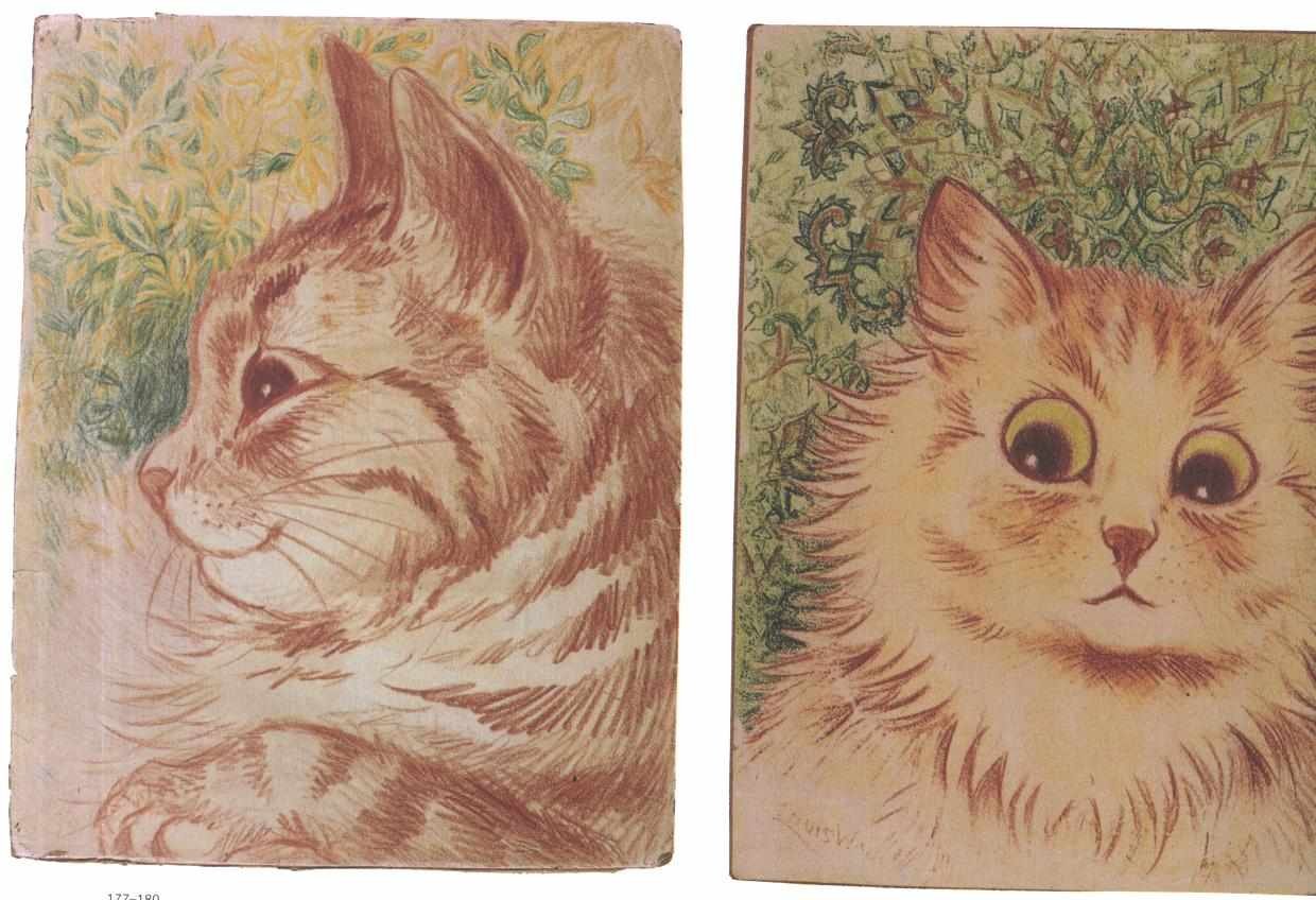 猫的英语：Catsn 作者 路易·韦恩