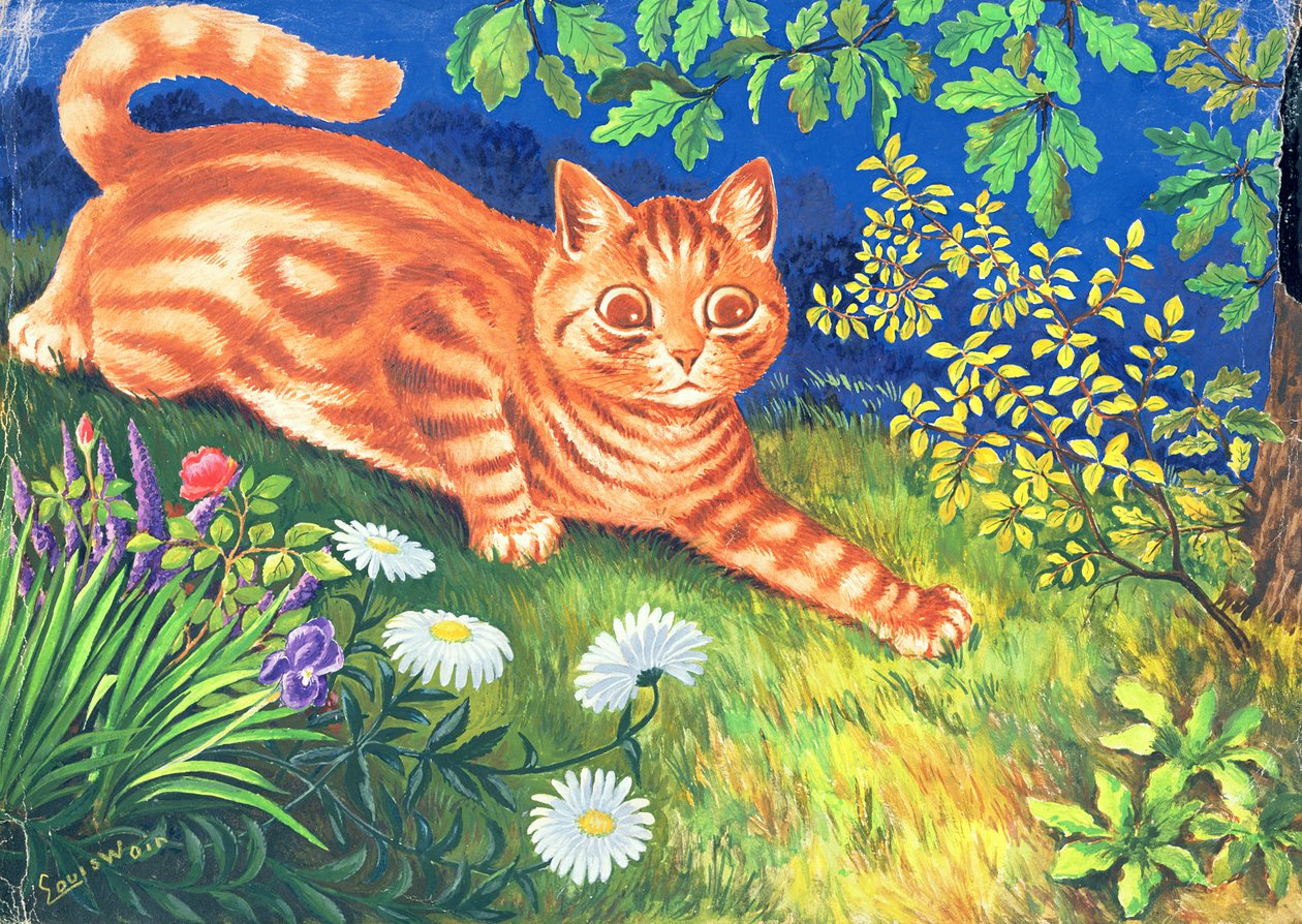 猫跟踪 作者 路易·韦恩