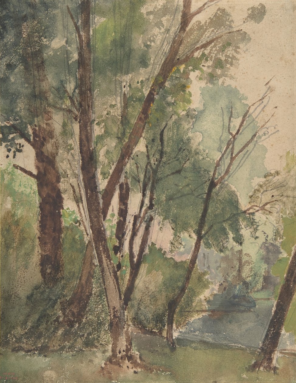 池塘边的树，1853-1878。 作者 路易·安托万·莱昂·里森纳