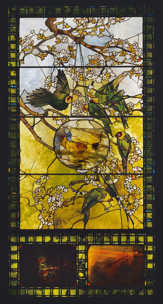 长尾小鹦鹉和金鱼缸，约1893年 作者 路易斯·康福特·蒂芙尼