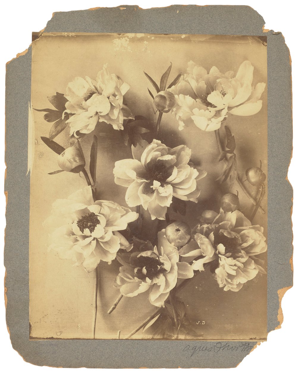 蒂芙尼工作室，约 1898-1920 年（黑白照片） 作者 路易斯·康福特·蒂芙尼