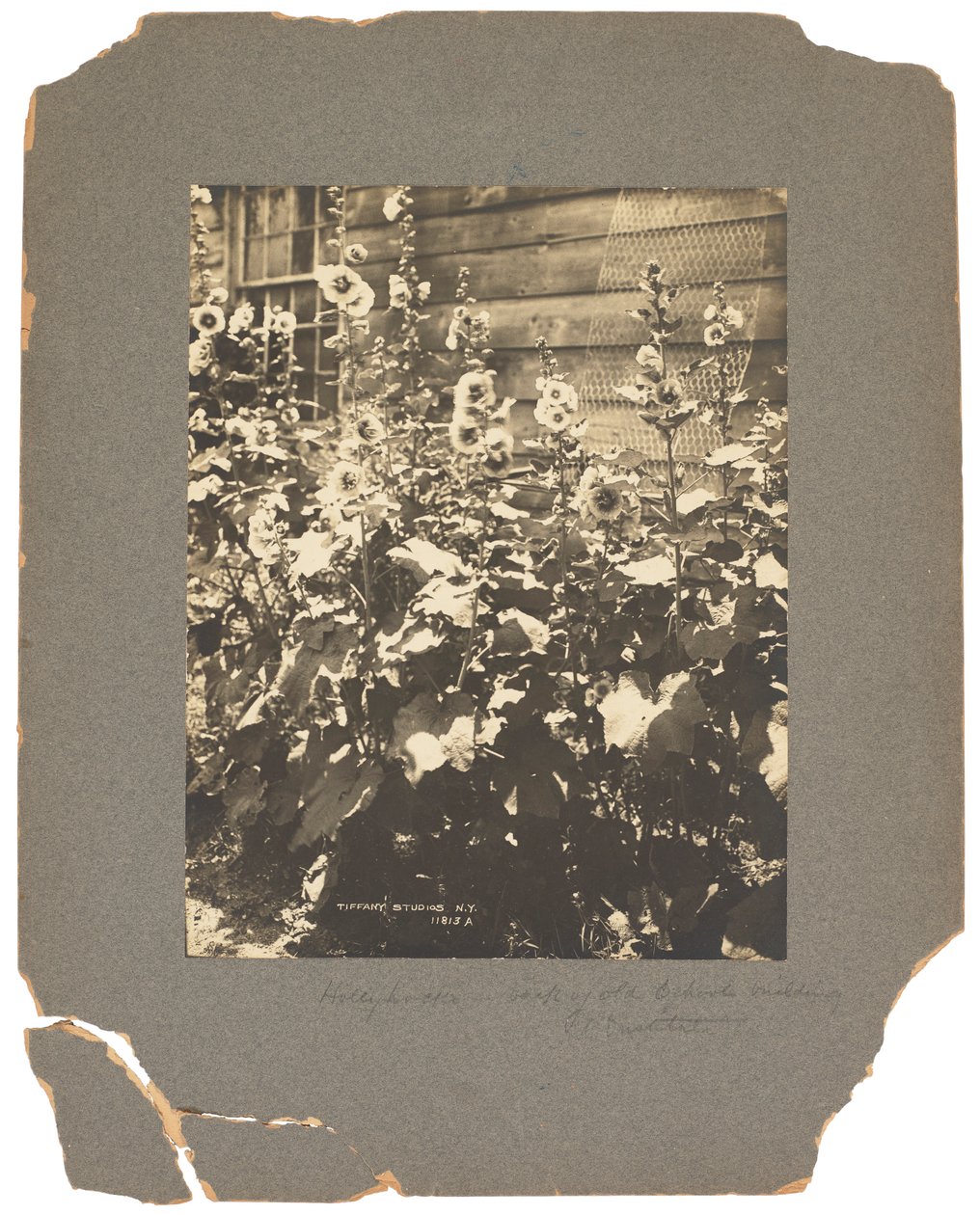 蒂芙尼工作室，c.1898-1920（黑白照片） 作者 路易斯·康福特·蒂芙尼