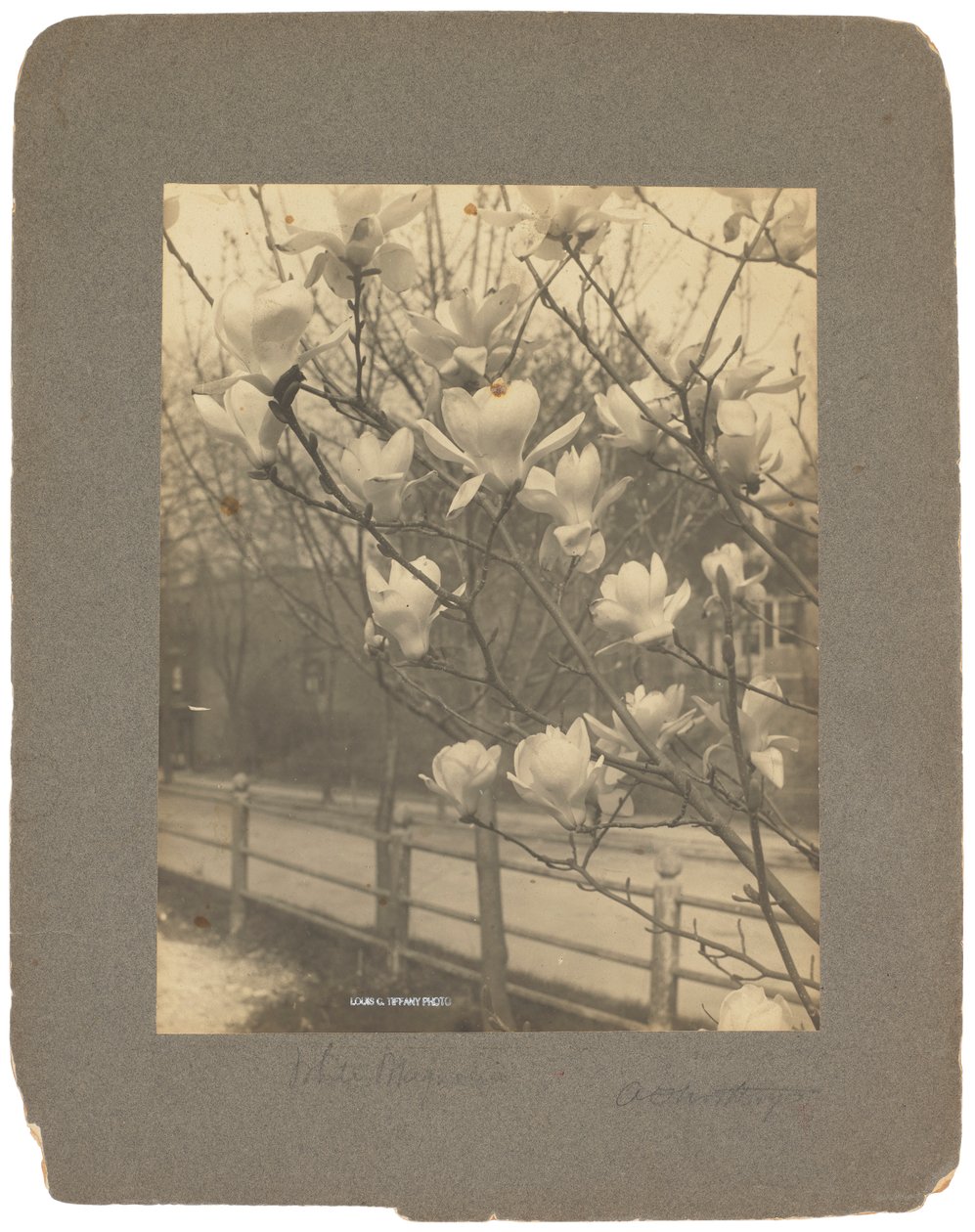蒂芙尼工作室，约 1898-1920 年（黑白照片） 作者 路易斯·康福特·蒂芙尼