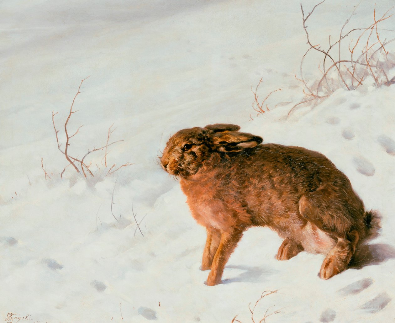 雪中的野兔，1875年 作者 雷斯基的路易斯·费迪南德