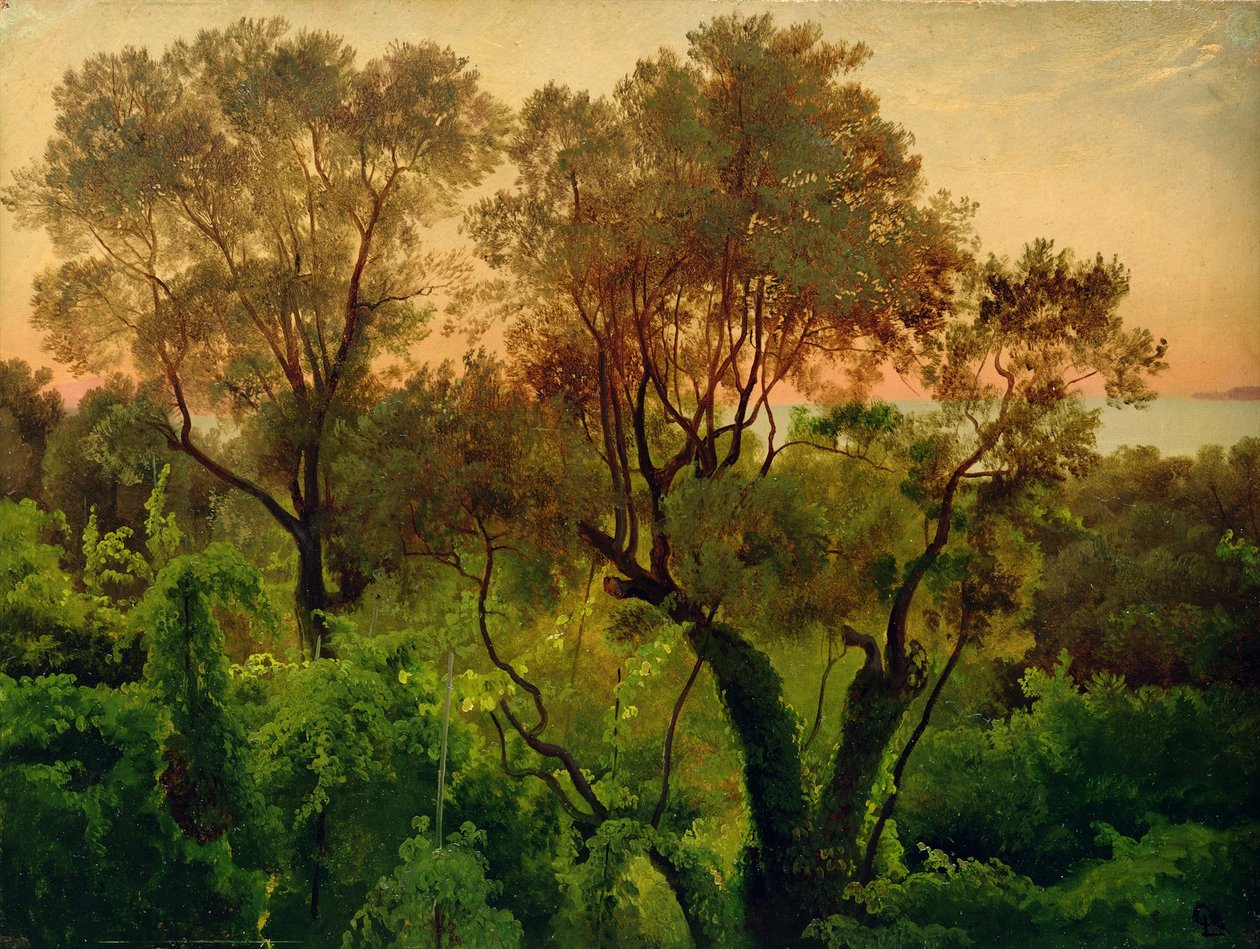 有橄榄树的斜坡 作者 路易斯·古利特（Louis Gurlitt）