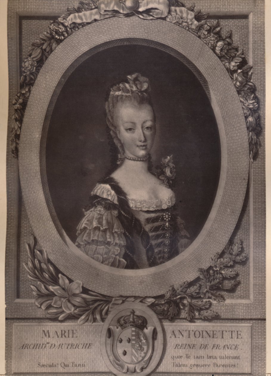 法国女王玛丽·安托瓦内特（Marie Antoinette），1894年18世纪末。 作者 路易斯·雅克·凯瑟琳