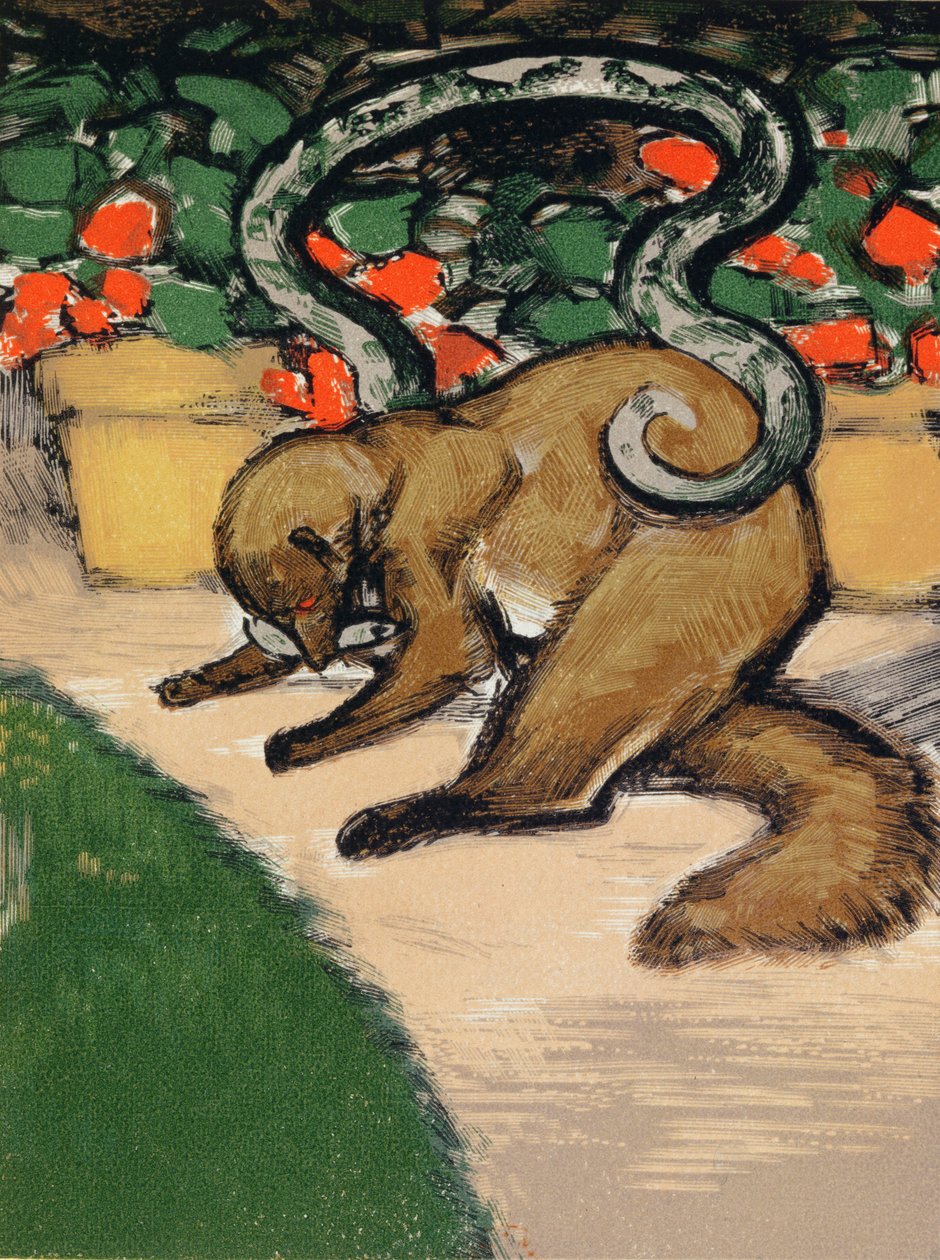 Rikki-Tikki-Tavi，鲁德亚德-吉卜林《丛林之书》插图（1965-1936 年），巴黎出版 作者 路易斯·约瑟夫·苏拉斯