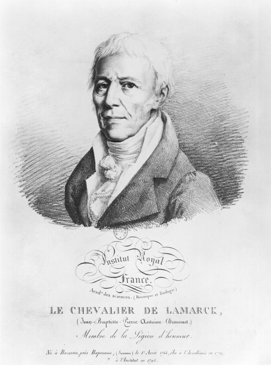 Jean-Baptiste de Monet的肖像（1744-1829）拉马克的骑士，来自19世纪早期的“着名院士肖像集” 作者 路易斯·利奥波德·博伊