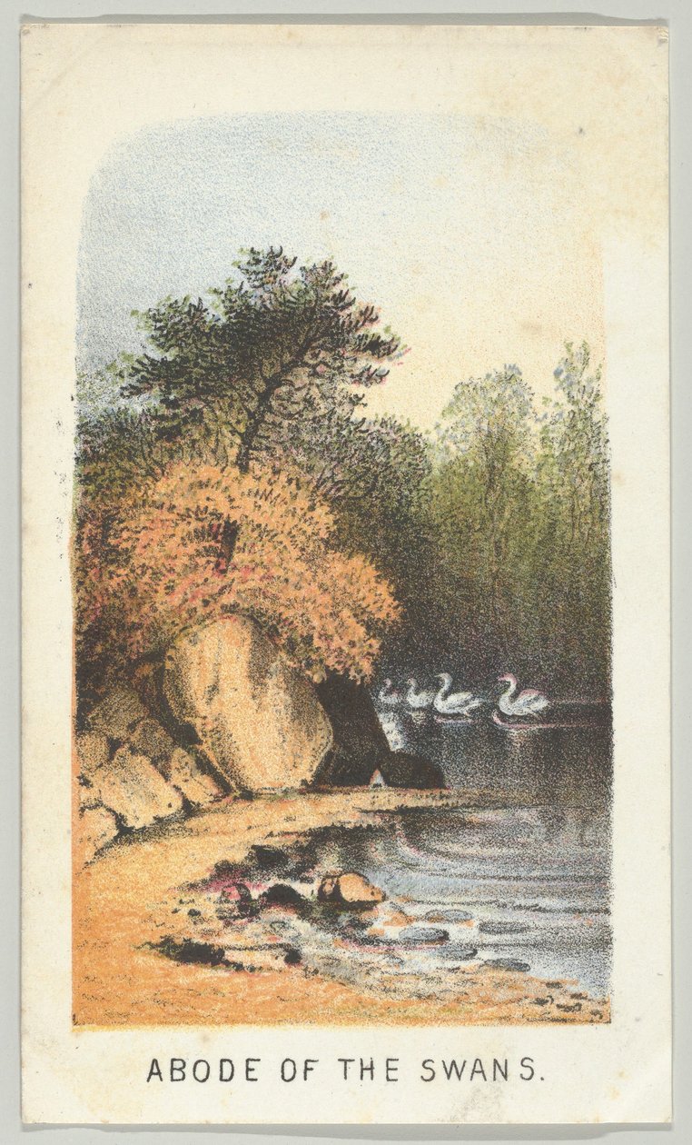 天鹅的住所》，出自《纽约中央公园的风景》系列，第2部分，1864年。 作者 路易斯·普朗
