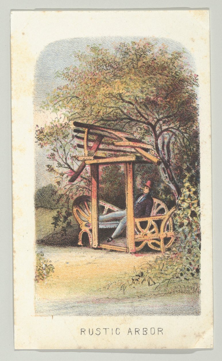 朴素的树，出自《纽约中央公园的风景》系列，第二部分，1864年。 作者 路易斯·普朗