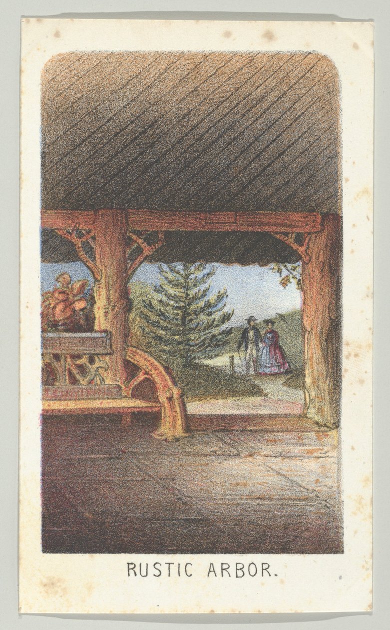 朴素的树，出自《纽约中央公园的风景》系列，第三部分，1864年。 作者 路易斯·普朗