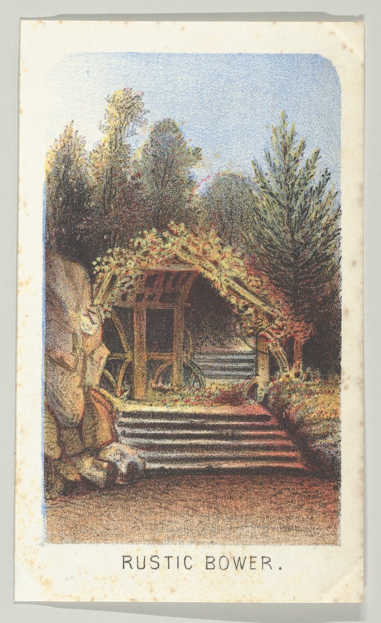 乡村花圃，出自《纽约中央公园的风景》系列，第3部分，1864年。 作者 路易斯·普朗