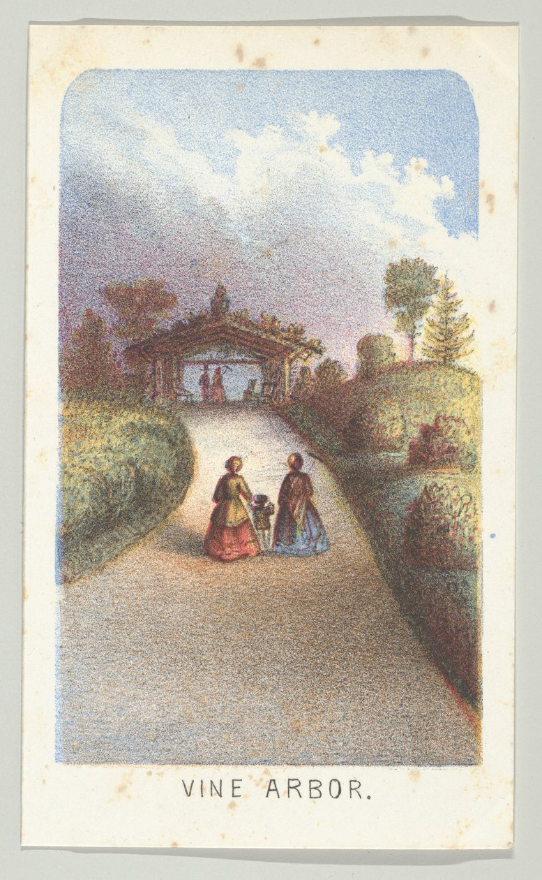 Vine Arbor，摘自《纽约中央公园风景》系列，第3部分，1864年。 作者 路易斯·普朗