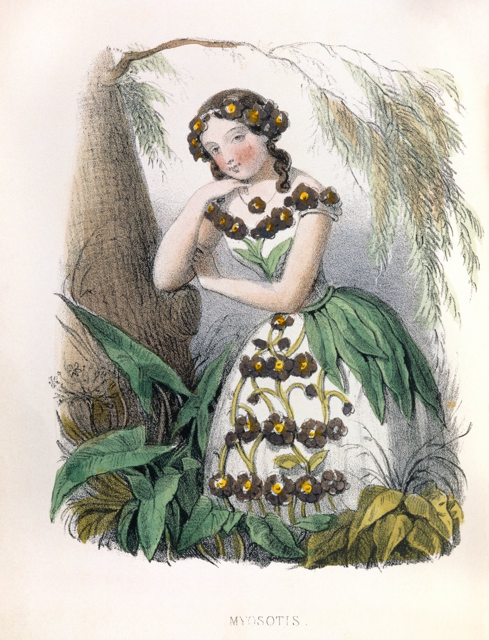 Allegorie , la Myosotis 作者 路易斯·西蒙 (1810 1870) 拉萨尔