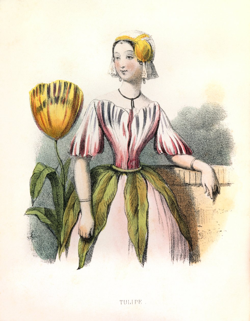 Allegorie , la Tulipe 作者 路易斯·西蒙 (1810 1870) 拉萨尔