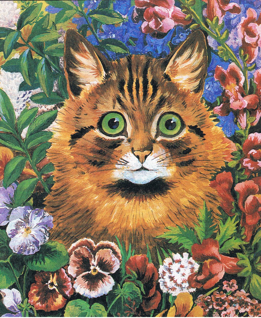 猫的研究（彩色平版印刷）。 作者 路易·韦恩
