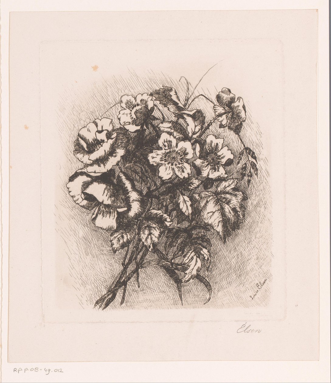 罂粟花和海葵静物画 作者 路易丝·埃尔森