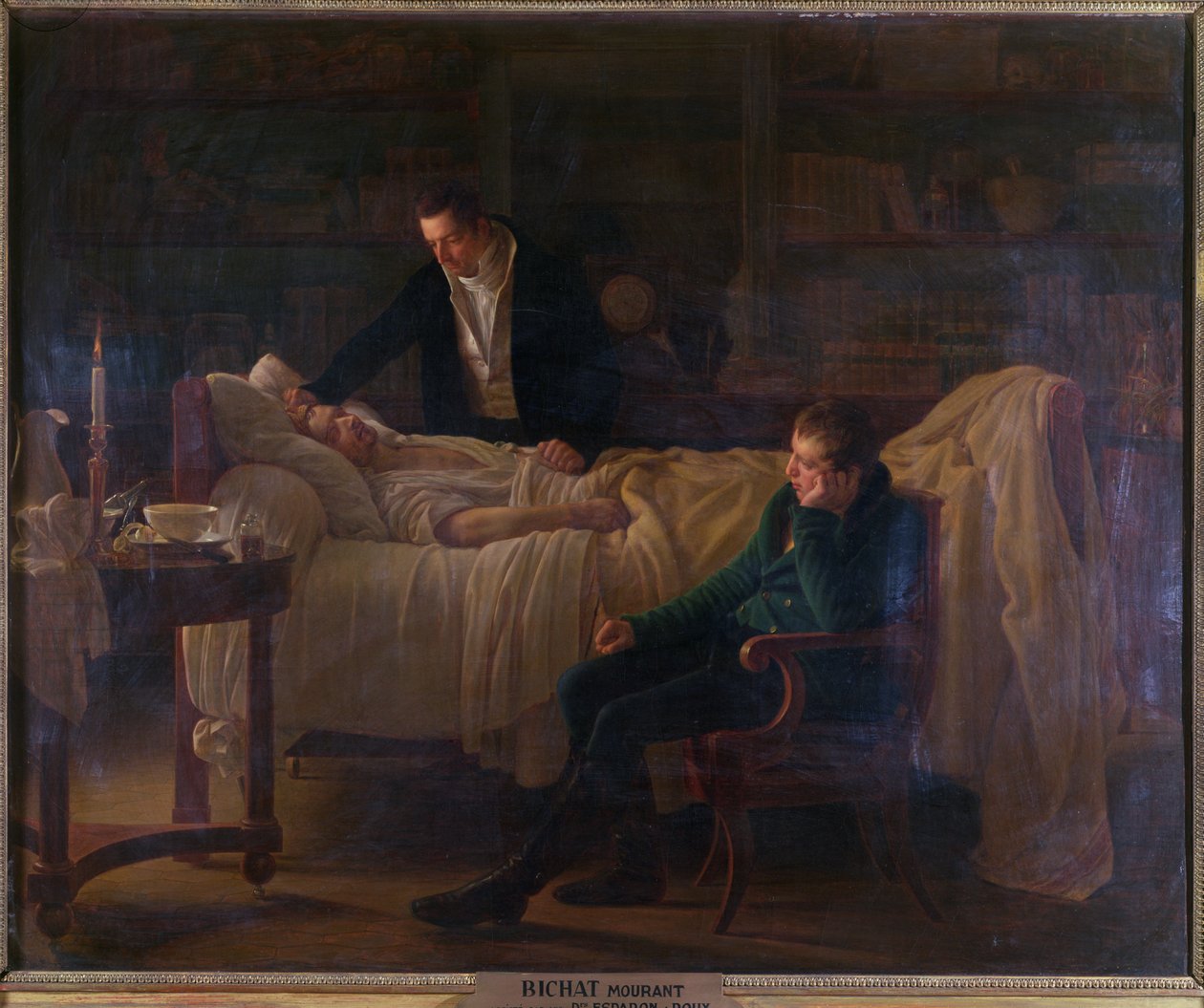 Marie Francois Xavier Bichat（1771-1802）死于医生Esparon和Philibert Joseph Roux（1780-1854） 作者 路易丝·玛丽·珍妮·赫森特