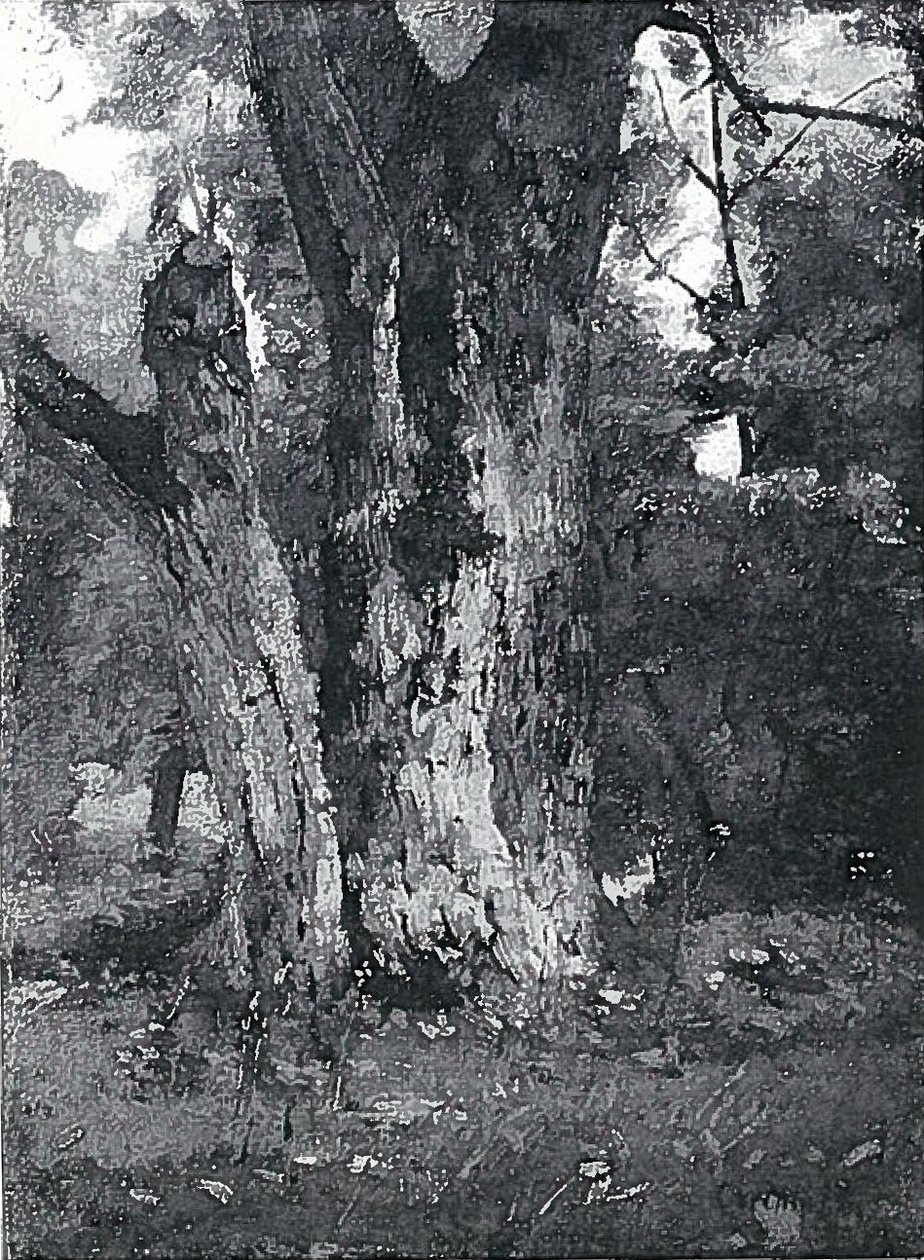 在Konigsbergn的Aweiderpark 作者 洛维斯·科林斯（Lovis Corinth）