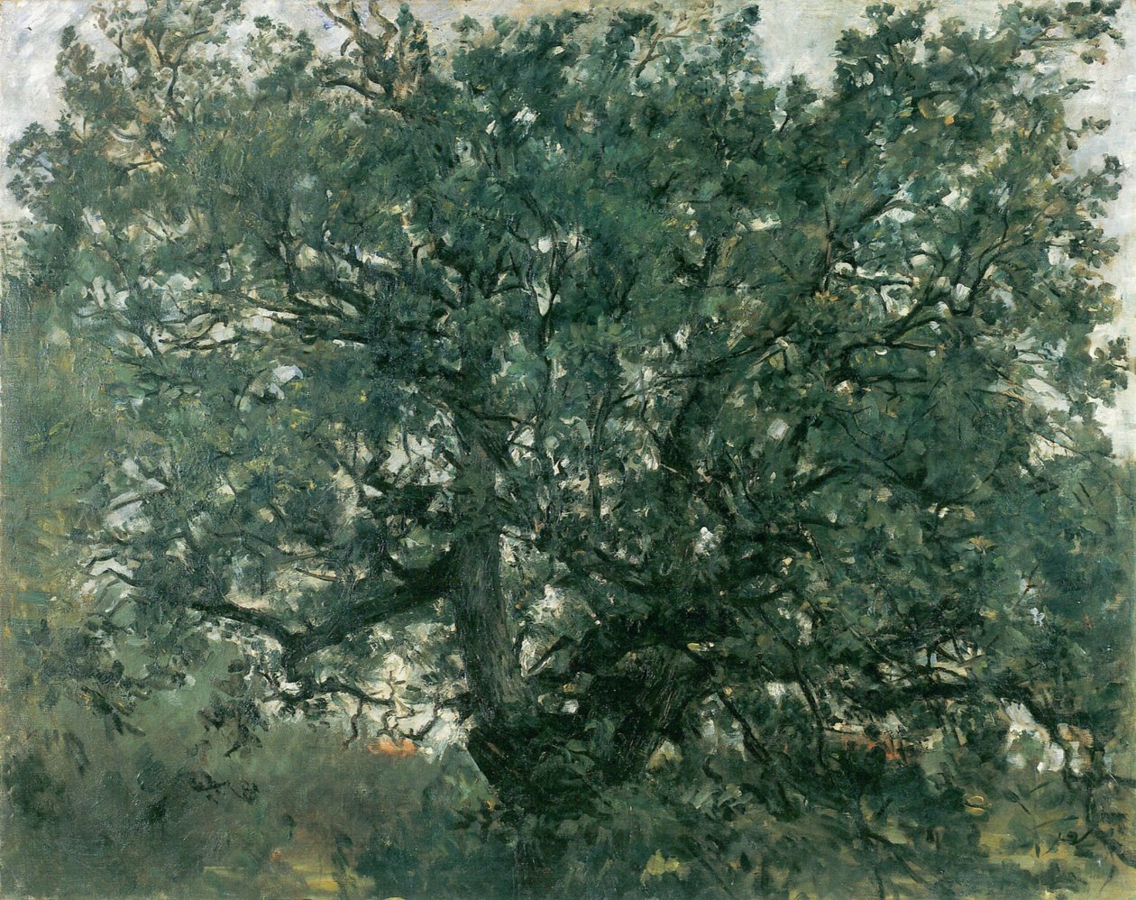 橡树 作者 洛维斯·科林斯（Lovis Corinth）