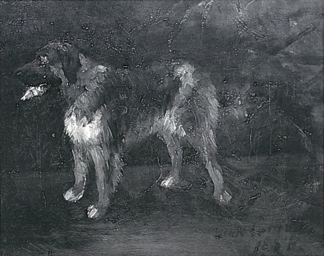 狗的研究 作者 洛维斯·科林斯（Lovis Corinth）