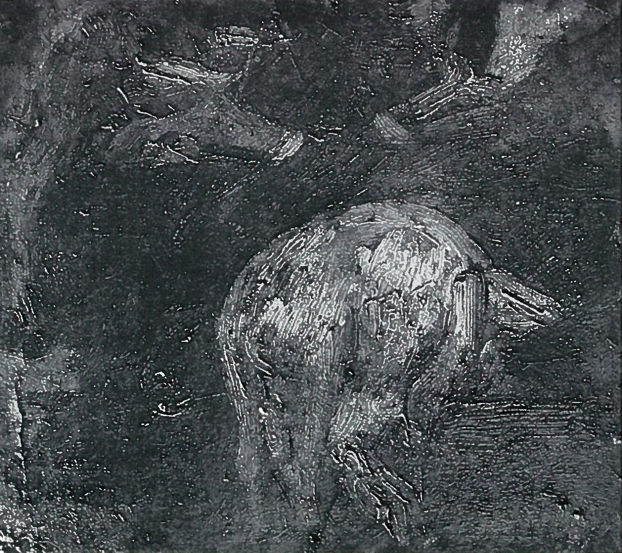 猪研究 作者 洛维斯·科林斯（Lovis Corinth）