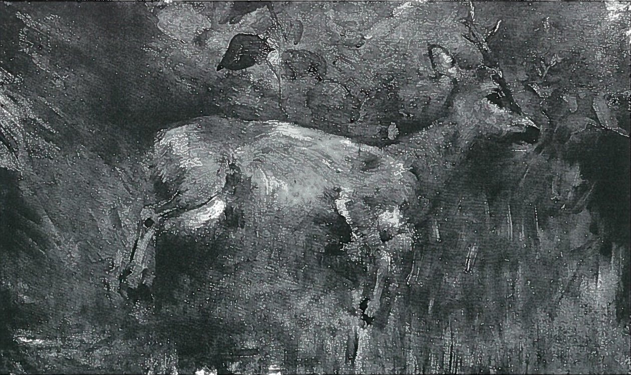 死了的雄鹿 作者 洛维斯·科林斯（Lovis Corinth）