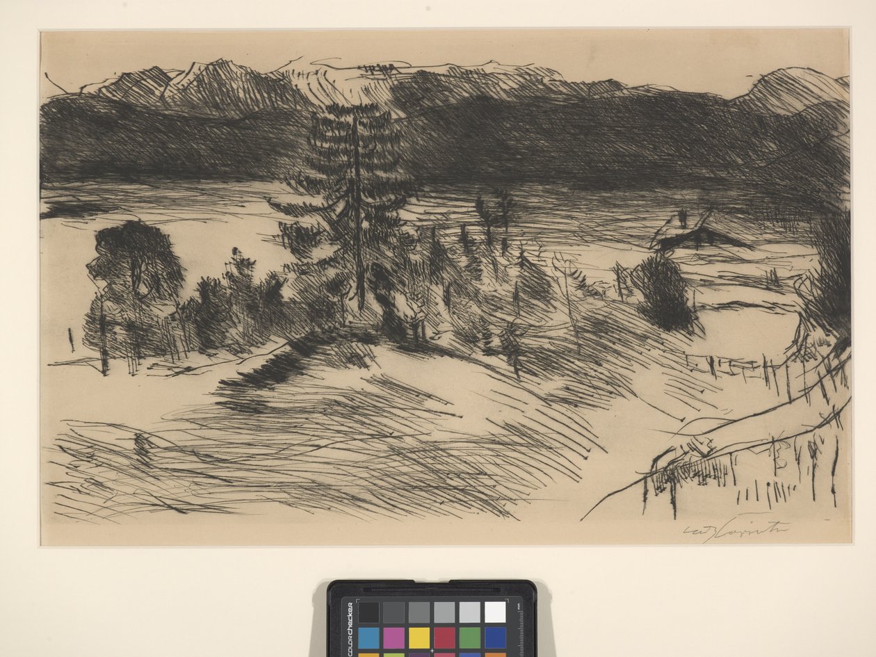 大型 Walchenzee（蚀刻和干点） 作者 洛维斯 (1858-1925) 科林斯