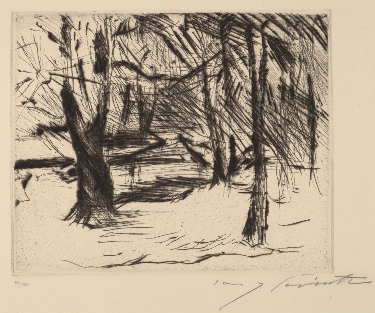 Bäume mit Sonne 阳光下的树, 1920-1921. 作者 洛维斯·科林斯（Lovis Corinth）