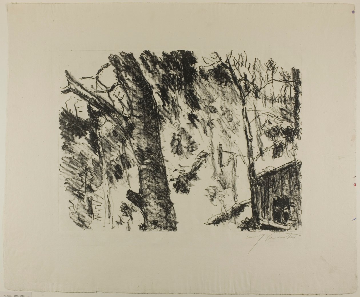 山毛榉树林，选自《山中早春 作者 洛维斯·科林斯（Lovis Corinth）