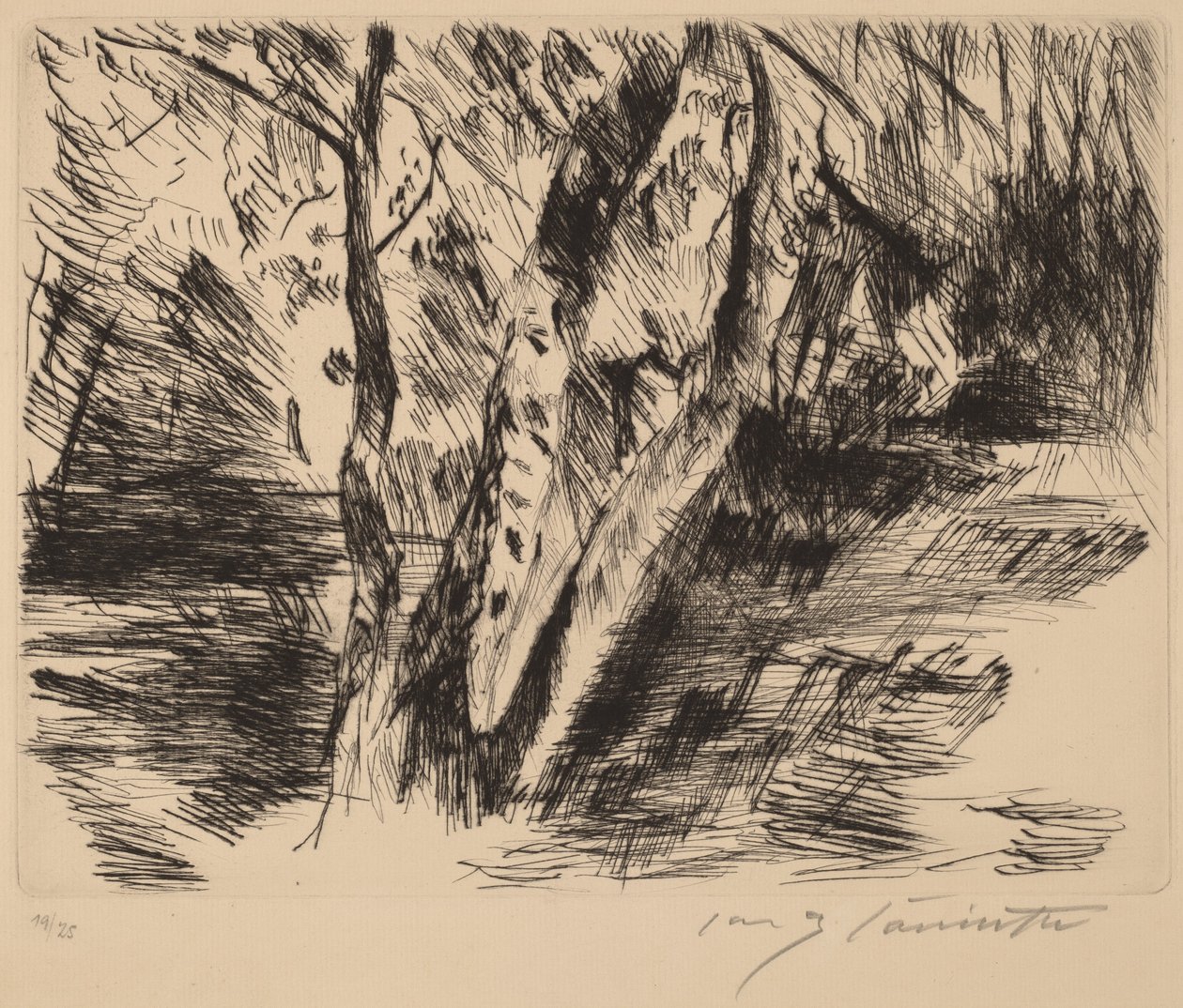 蒂尔加滕的白桦树 蒂尔加滕的白桦树，1920-1921。 作者 洛维斯·科林斯（Lovis Corinth）