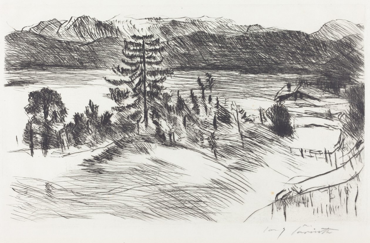 大型瓦尔琴湖风景画 大型瓦尔琴湖风景画，1923年。 作者 洛维斯·科林斯（Lovis Corinth）