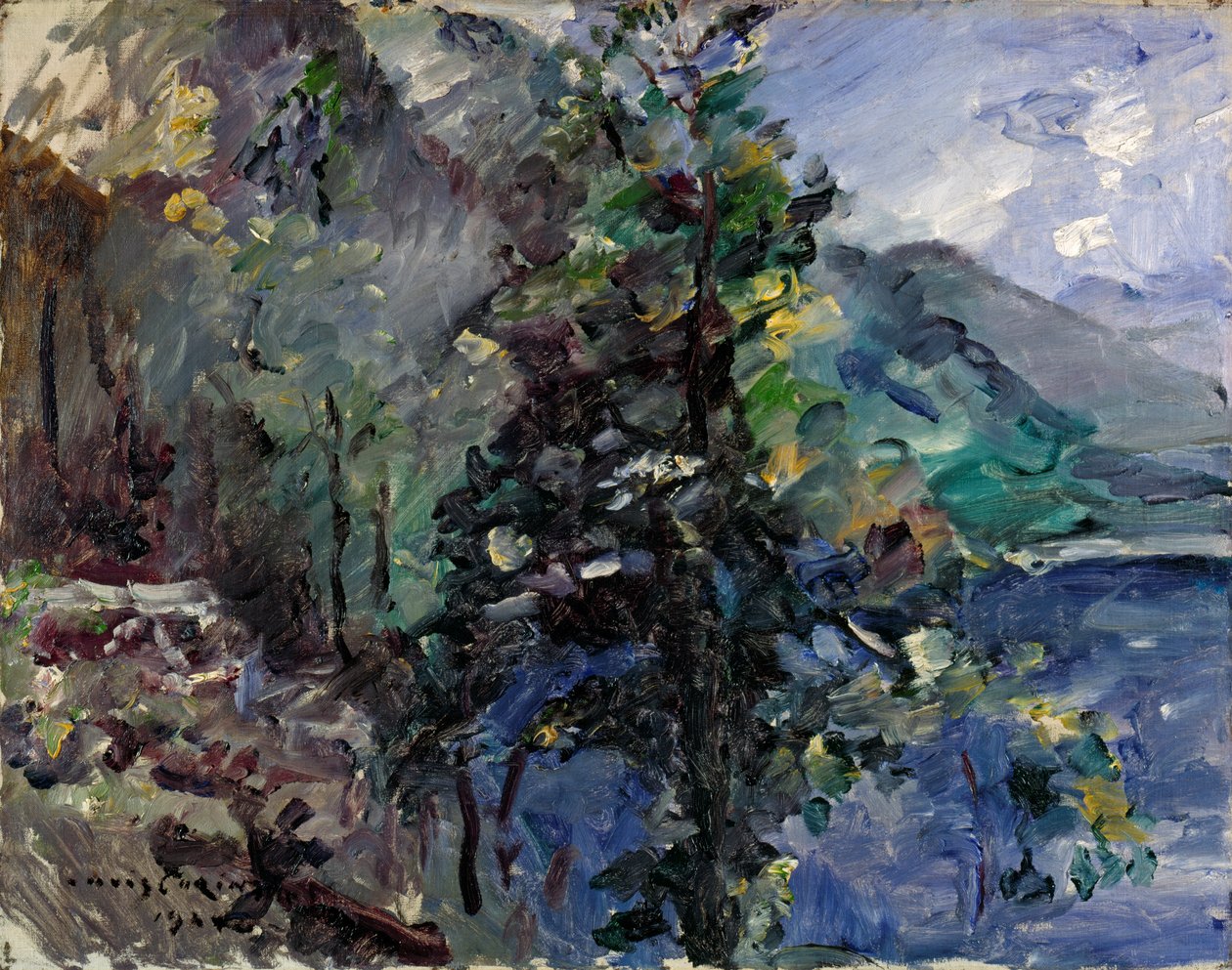 约赫贝格在瓦尔兴湖 作者 洛维斯·科林斯（Lovis Corinth）