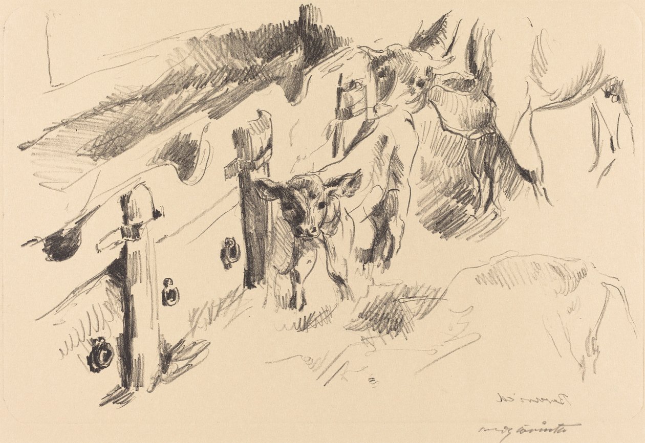 小牛 作者 洛维斯·科林斯（Lovis Corinth）