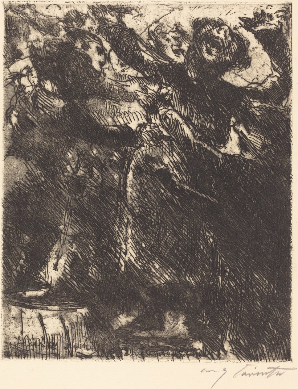 Capuchin