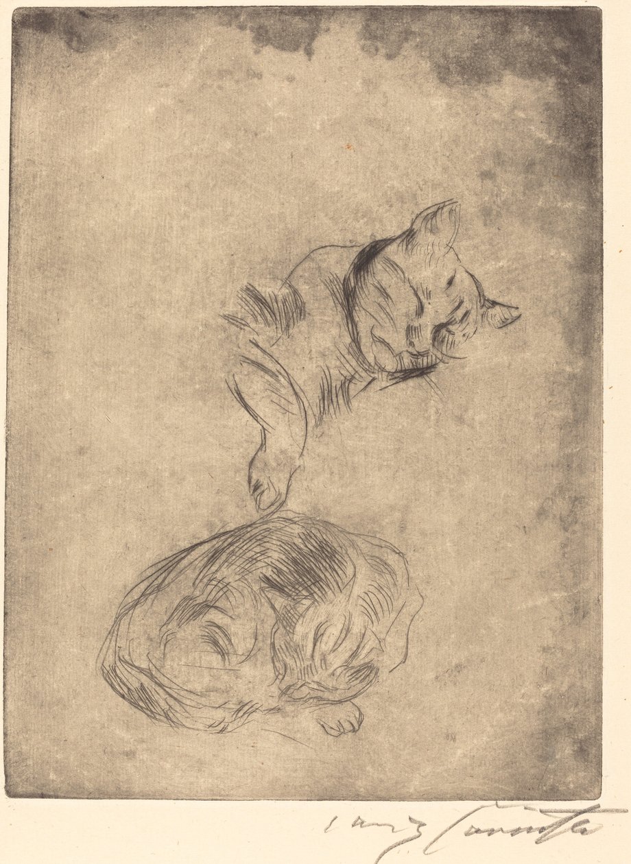 Katzenstudie猫的研究，1920年。 作者 洛维斯·科林斯（Lovis Corinth）