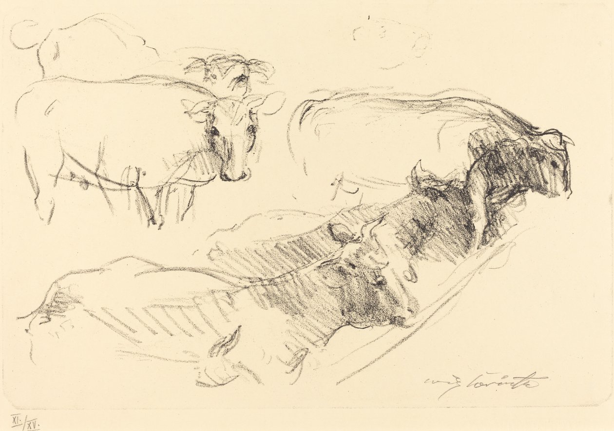 奶牛 奶牛，1910年。 作者 洛维斯·科林斯（Lovis Corinth）