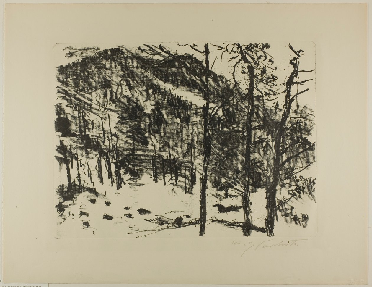 山谷，选自《山中早春 作者 洛维斯·科林斯（Lovis Corinth）