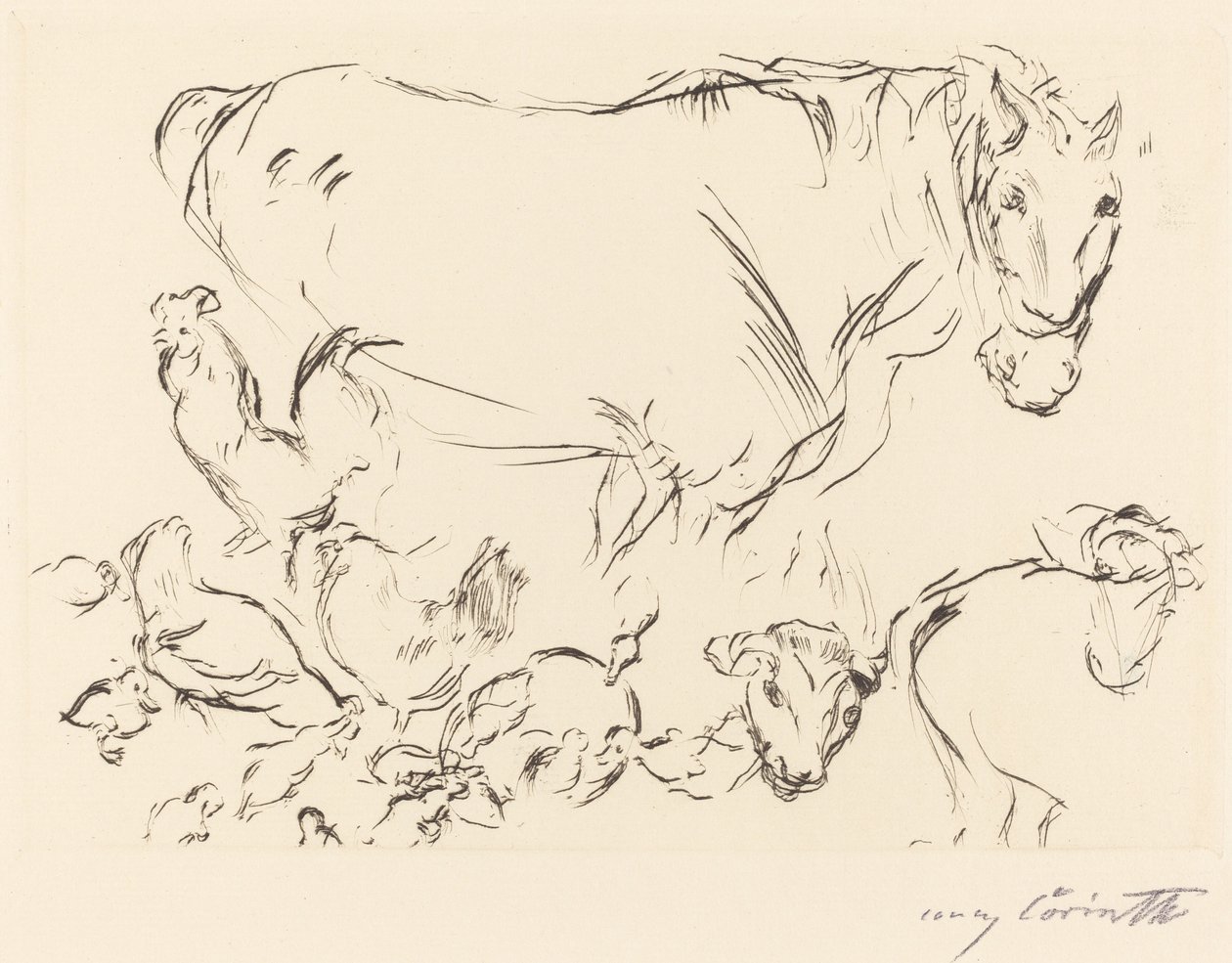 杂项动物研究 作者 洛维斯·科林斯（Lovis Corinth）