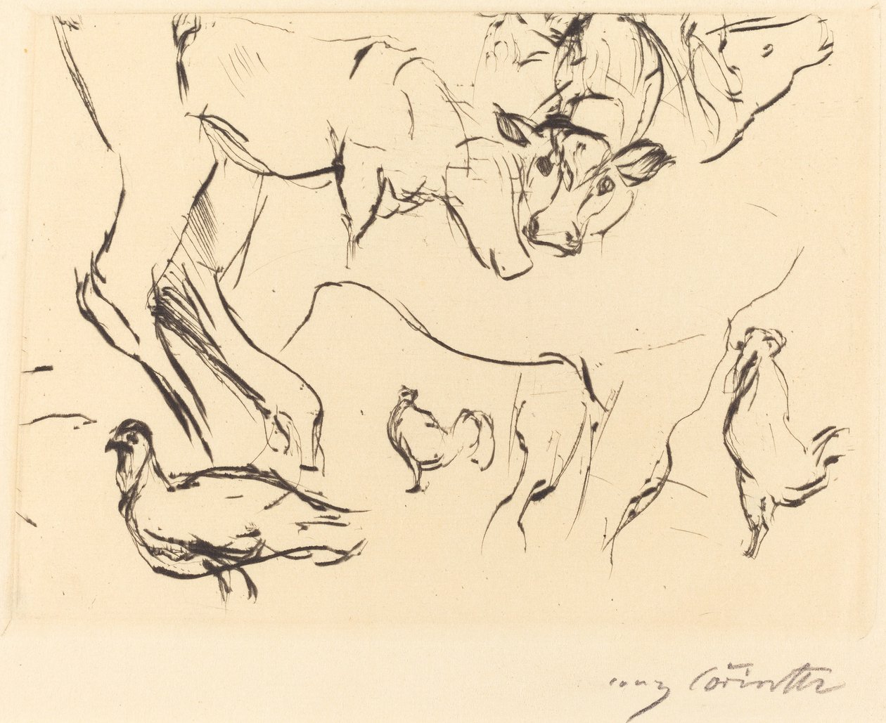 杂项动物研究 作者 洛维斯·科林斯（Lovis Corinth）