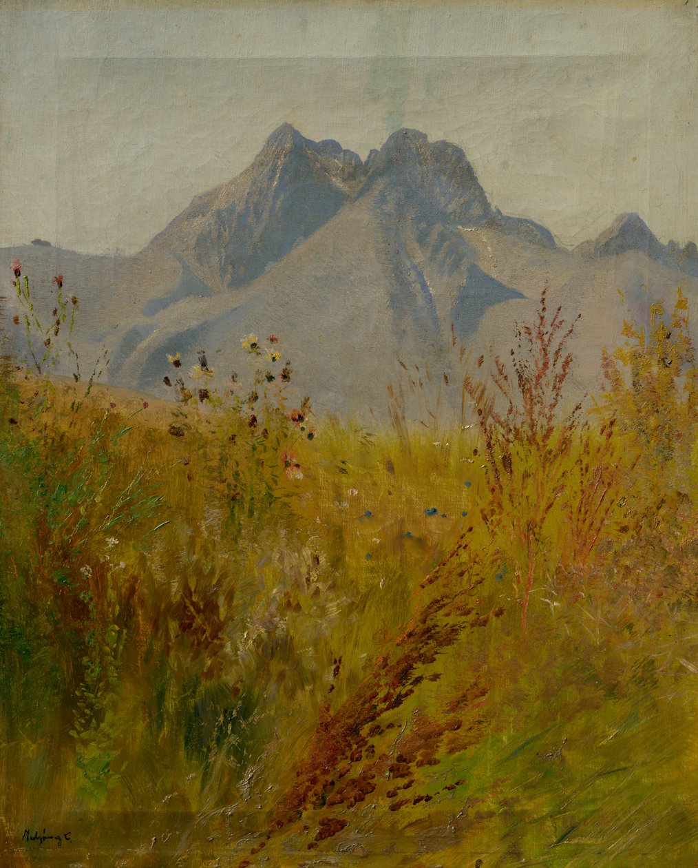 LomnickýPeak 作者 拉斯洛（Laszlo Mednyanszky）