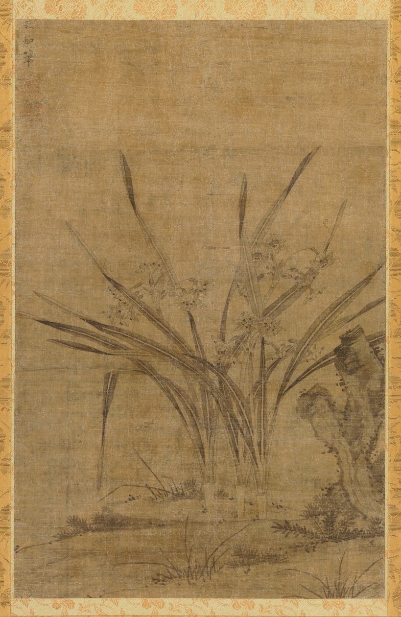 水仙与岩石 作者 陆天如