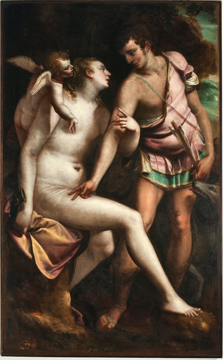 Venus and Adonis Painting by Luca Cambiaso (1527-1585) 16th century Genes, Musei di Strada Nuova (ex Palazzo Bianco) 作者 卢卡·坎比亚索