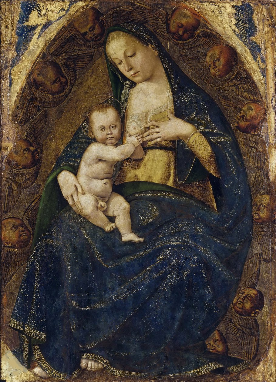 护理圣母，约1482-1485。 作者 卢卡·西诺雷利（Luca Signorelli）