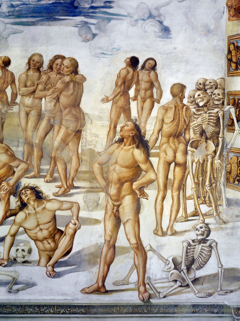 肉体的复活，来自最后的审判壁画周期 作者 卢卡·西诺雷利（Luca Signorelli）