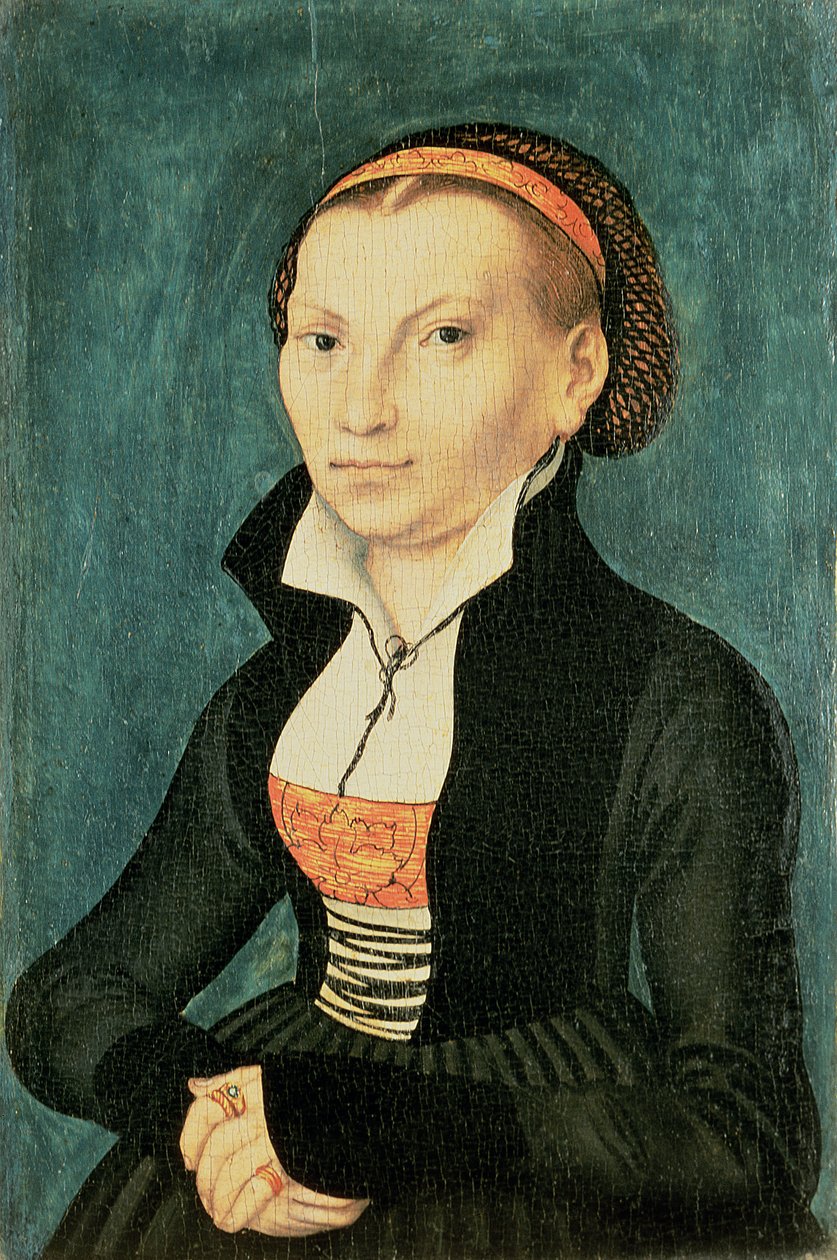 Katharina von Bora，Martin Luther的未来妻子，1526年（石油） 作者 卢卡斯·克拉纳赫