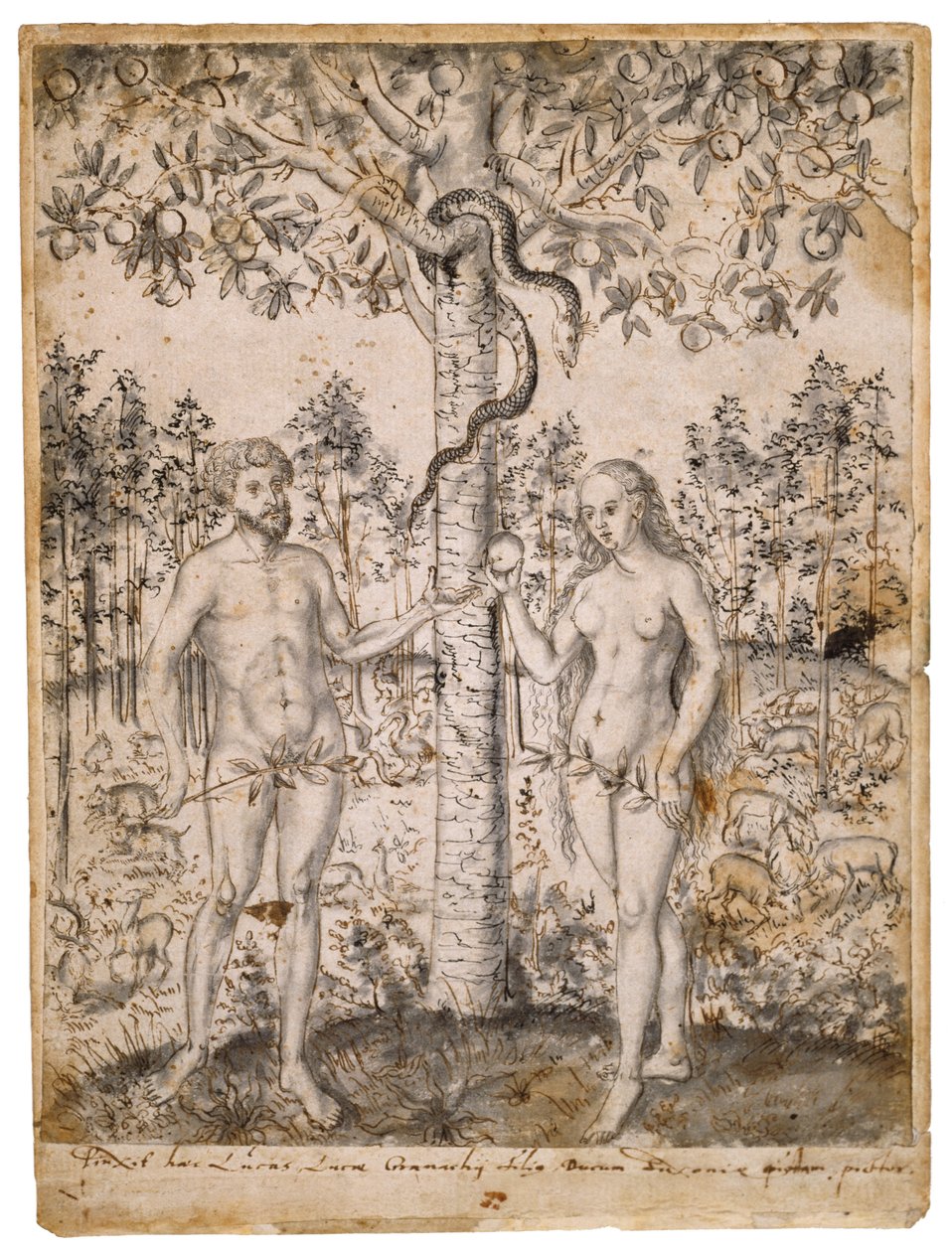人类的堕落，1549年之后（钢笔，黑色和棕色墨水，在纸上用黑色水洗） 作者 卢卡斯·克拉纳赫